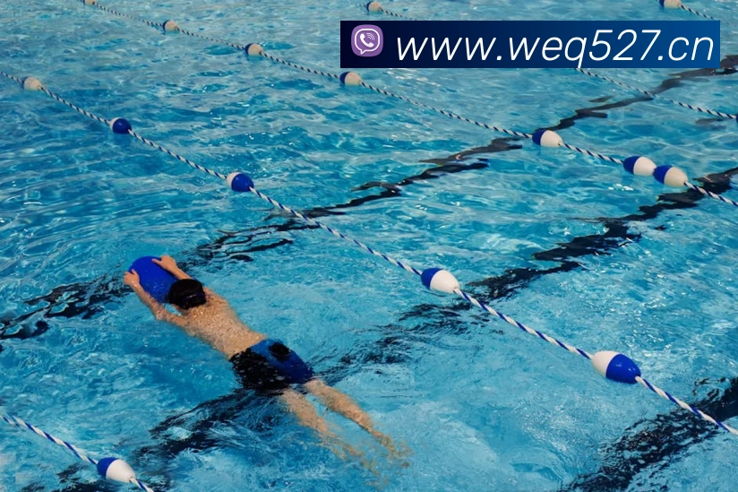 星空体育首页官网APP 封面图